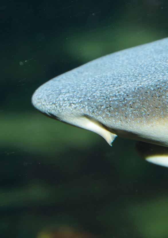 180 ZOO OLOMOUC