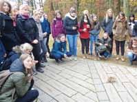 DALŠÍ AKTIVITY CHOVATELSKÉHO ÚSEKU VÝZKUM Zoologická zahrada Olomouc spolupracuje na výzkumech s mnoha univerzitami a dalšími institucemi na území ČR i dalších států.