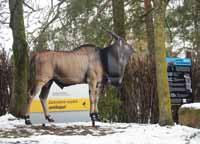 Naučný panel věnovaný antilopě Derbyho /Education panel of Giant Eland/ DERBIANUS CONSERVATION Zoologická zahrada Olomouc je členem spolku Derbianus Conservation, který se zabývá ochranou kriticky