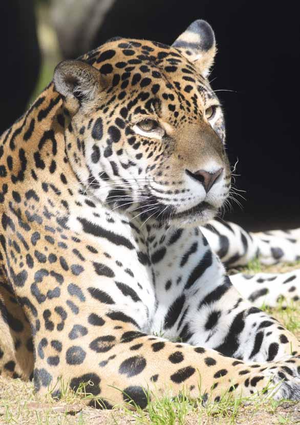 6 ZOO OLOMOUC The