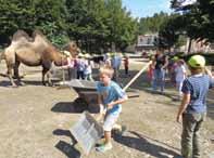 Příměstský tábor DDM /Centre for children and youth summer camp/ zajímavých informací. Ti šikovnější si domů odnesli vlastnoručně vyrobenou zvířecí hračku. Občasné dešťové přeháňky nikomu nevadily.