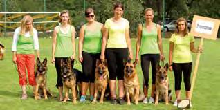 NO CHOVATELSKÉ STANICE 1. HARTIS BOHEMIA MVDr. Helena Melounová Cak Hartis Bohemia pracovní VA1, CAC (Ober v. Bad-Boll x Xara Hartis Bohemia) Zac Hartis Bohemia pracovní VA6 (Chacco v. d.