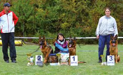 spívajících psi NO CHOV VD1, VT Redy Jarbo (Yasko Sherak x Xenia Hartis Bohemia) VD2 Farrad Mir-Čer (Quattro v. d.