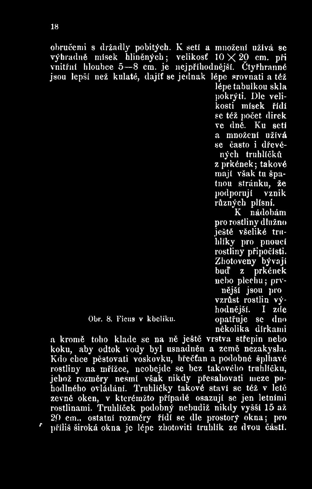 . Zhotoveny bývají bud z prkének nebo plechu; prvnějši jsou pro vzrůst rostlin výhodnější. I zde Obr. 8. Ficus v kbelíku.