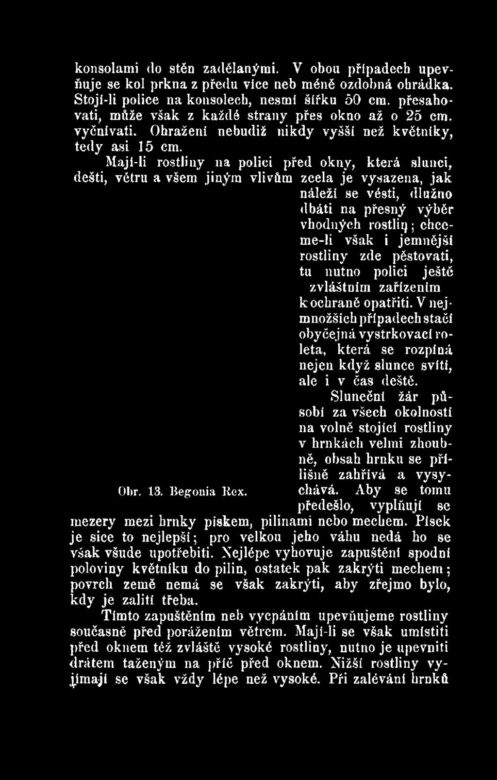 V nejmnožšicb případech stačí obyčejná vystrkovací roleta, která se rozpíná nejen když slunce svítí, ale i v čas deště.