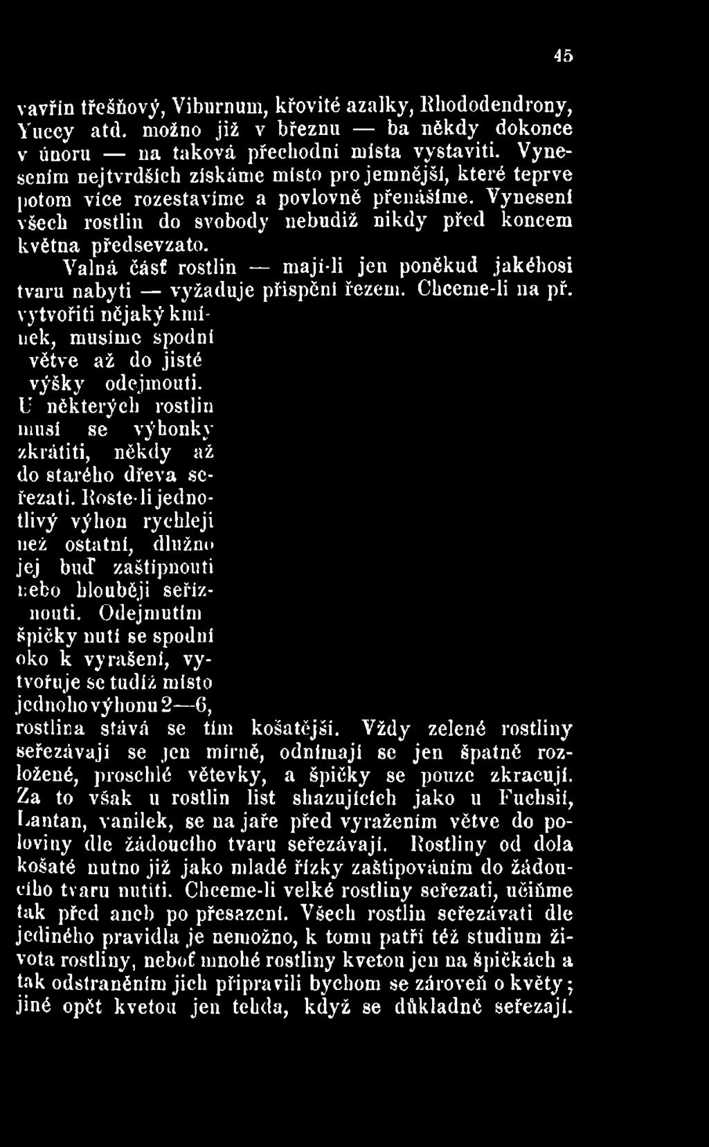 Odejmutím špičky nutí se spodní oko k vyrašeni, vytvořuje se tudíž misto jednoho výhonu 2 6, rostlina stává se tím košatější.