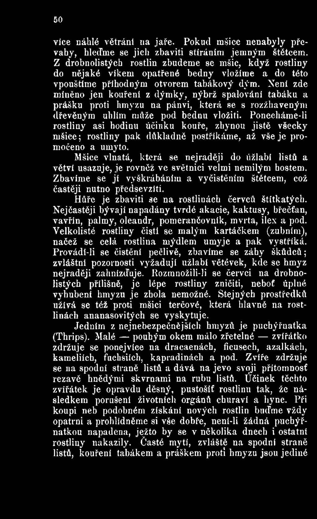 Mšice vlnatá, která se nejraději do úžlabí listů a větví usazuje, je rovněž ve světnici velmi nemilým hostem. Zbavíme se ji vyškrábáním a vyčistěním štětcem, což častěji nutno předsevzlti.