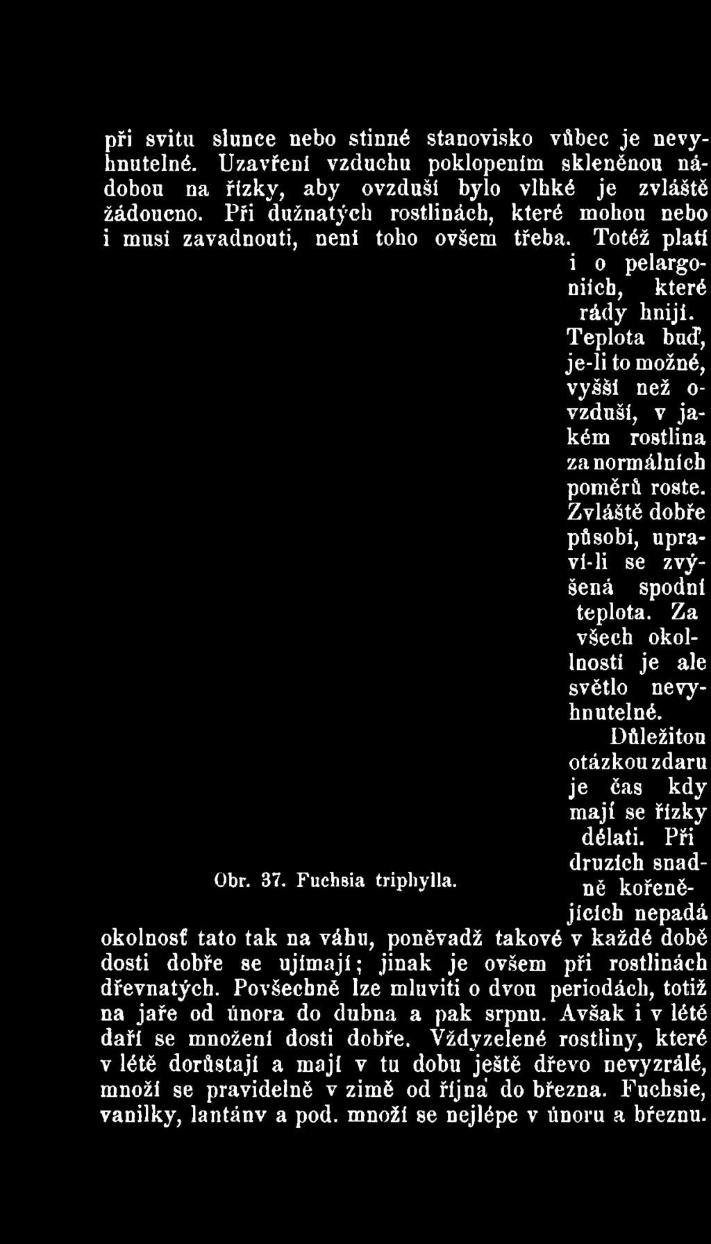Zvláště dobře působí, upraví-li se zvýšená spodní teplota. Za všech okol- Inosti je ale světlo nevyhnutelné.