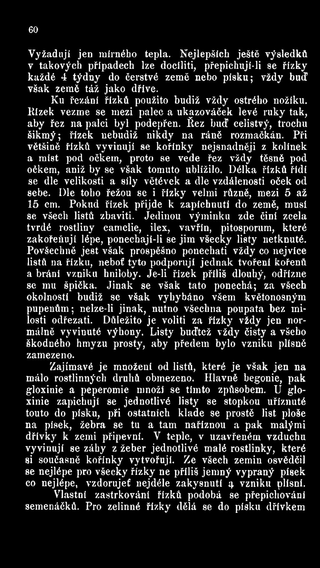 Při většině řízků vyvinuji se kořínky nejsnadněji z kolínek a m íst pod očkem, proto se vede řez vždy těsně pod očkem, aniž by se však tomuto ublížilo.