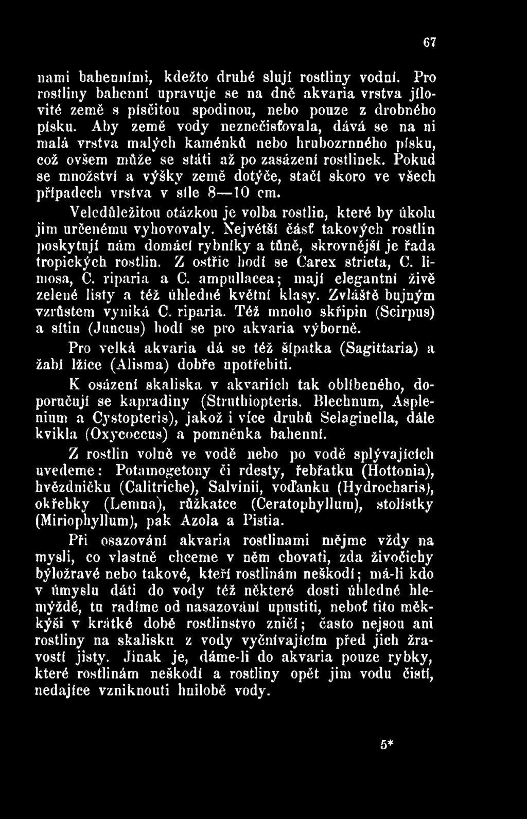 ampullacea; mají elegantní živě zelené listy a též úhledné květní klasy. Zvláště bujným vzrůstem vyniká C. riparia. Též mnoho skřípin (Scirpus) a sítin (Juncus) hodi se pro akvaria výborně.