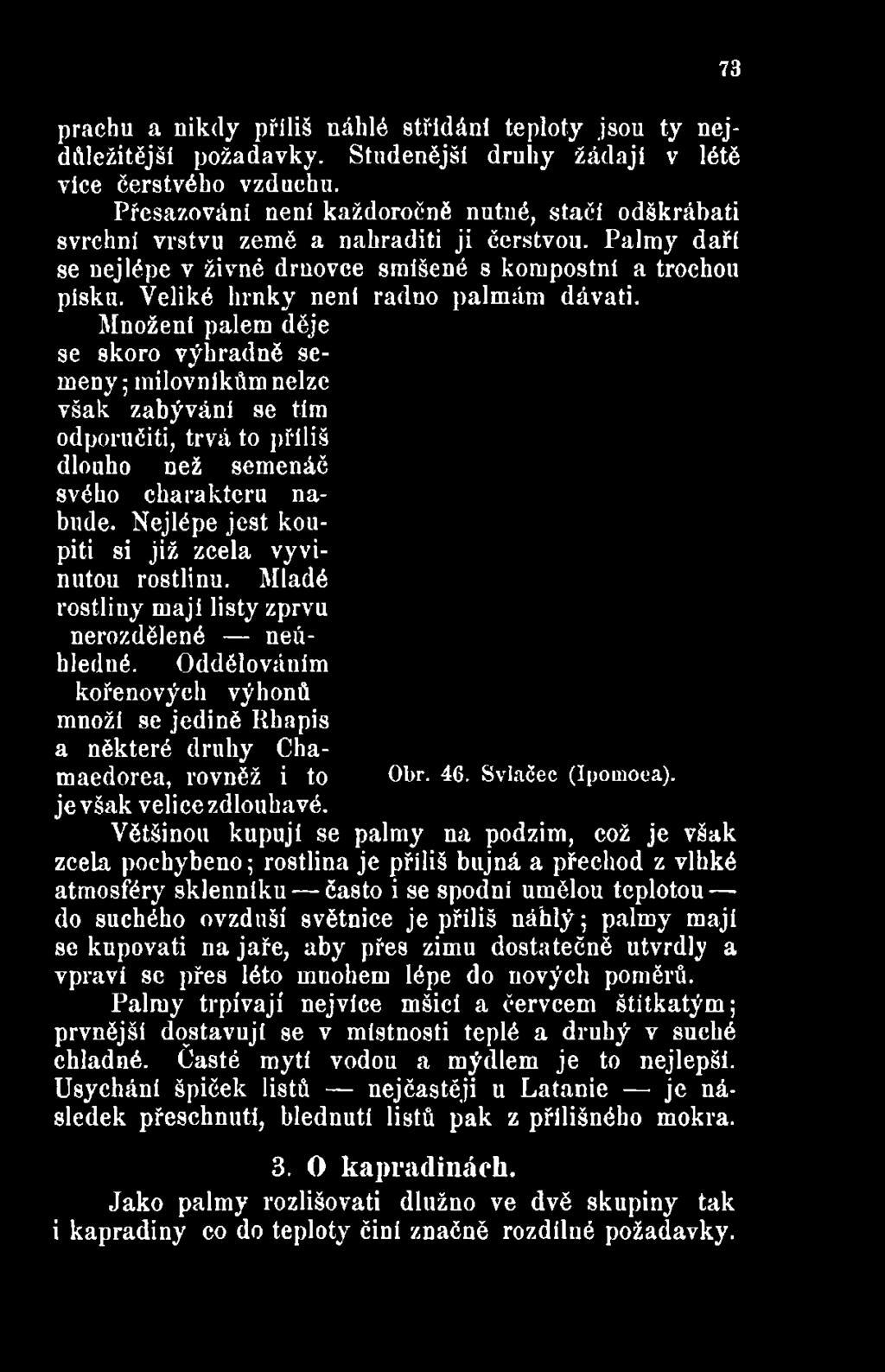 Veliké hrnky není radno palmám dávati. Množení palem děje se skoro výhradně semeny ; milovníkům nelze však zabývání se tím odporučiti, trvá to příliš dlouho než semenáč svého charakteru nabude.