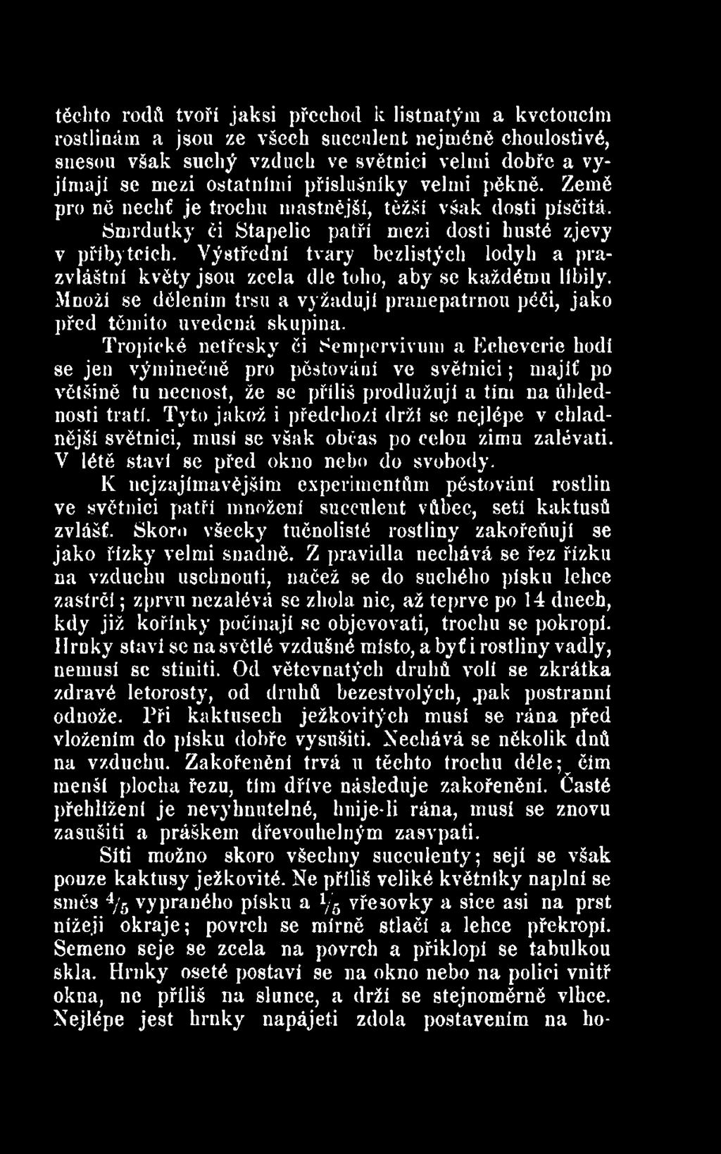 Tyto jakož i předchozí drží se nejlépe v chladnější světnici, musí se však občas po celou zimu zalévati. V létě staví se před okno nebo do svobody.