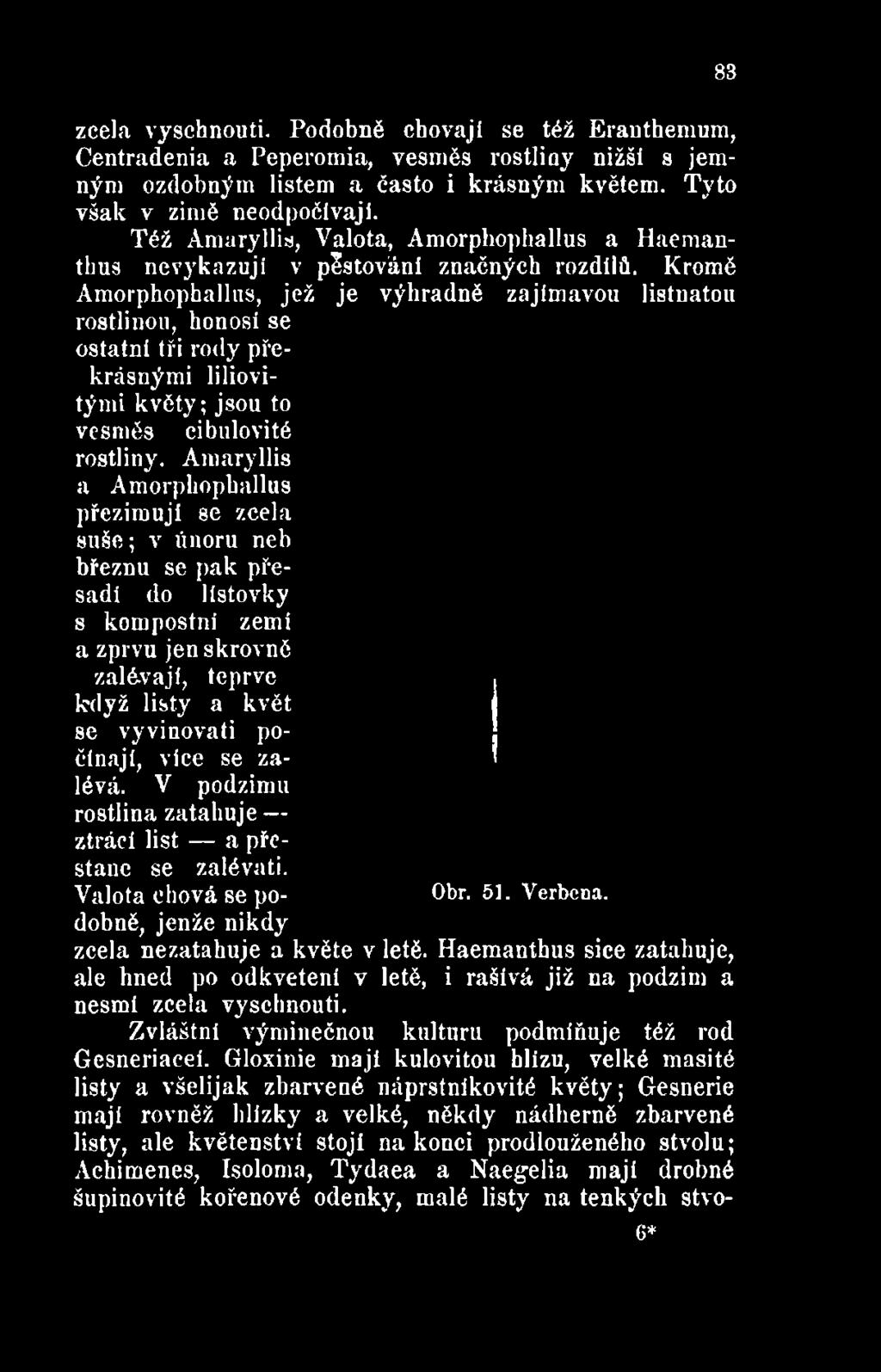 Amaryllis a Amorphophallus přezimuji se zcela suše; v únoru neb březnu se pak přesadí do lístovky s kompostnl zemi a zprvu jen skrovně zalévají, teprve když
