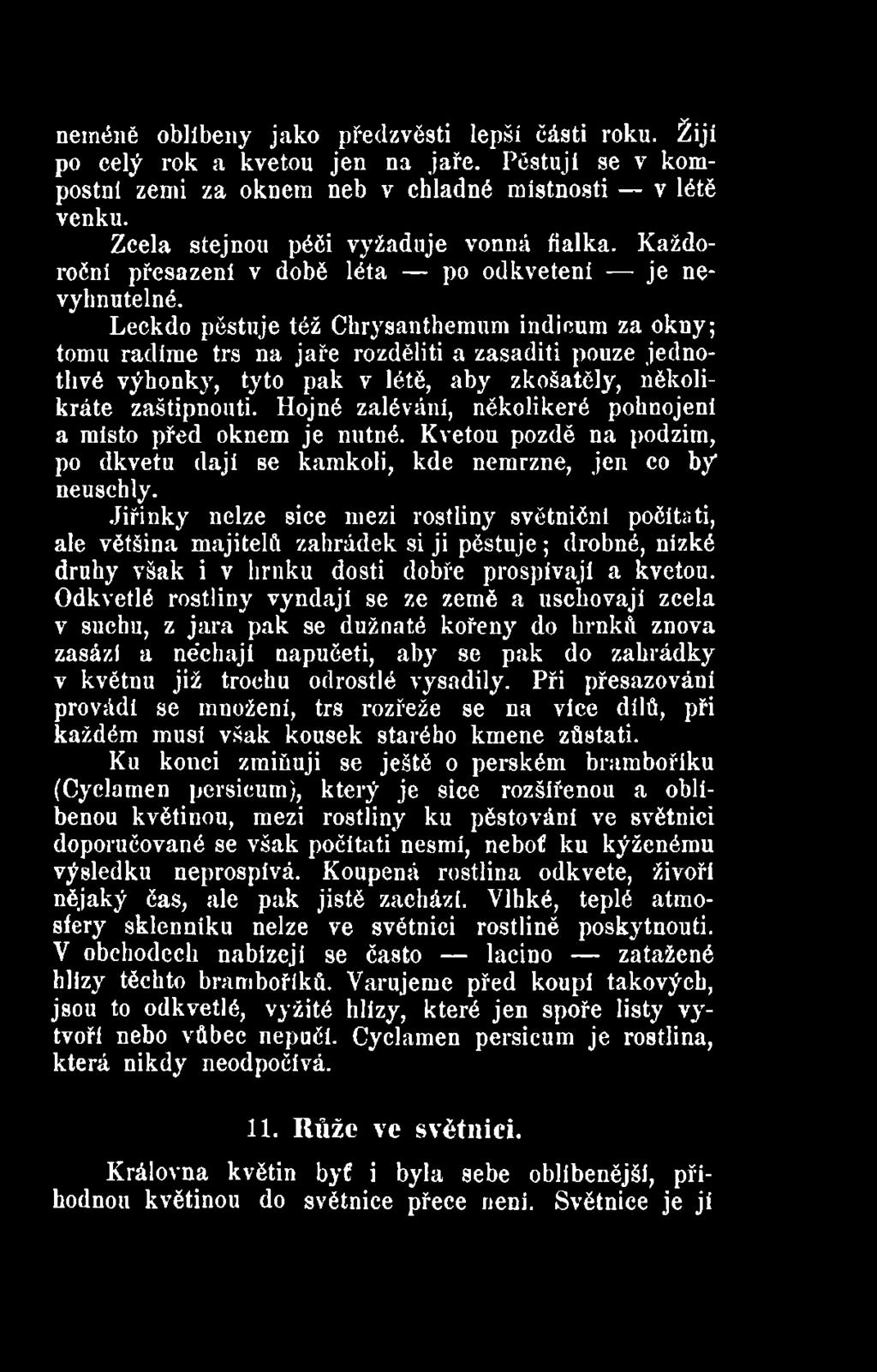 Jiřinky nelze sice mezi rostliny světnični počítá ti, ale většina majitelů zahrádek si ji pěstuje; drobné, nízké druhy však i v hrnku dosti dobře prospívají a kvetou.