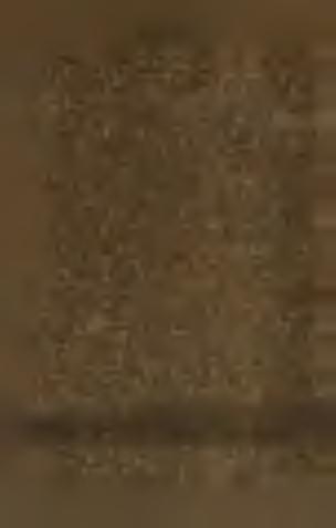 Nevytahujme také mnoho sazeniček najednou, aby ty, které by déle do země nepřišly, mezi tím nězavadly.