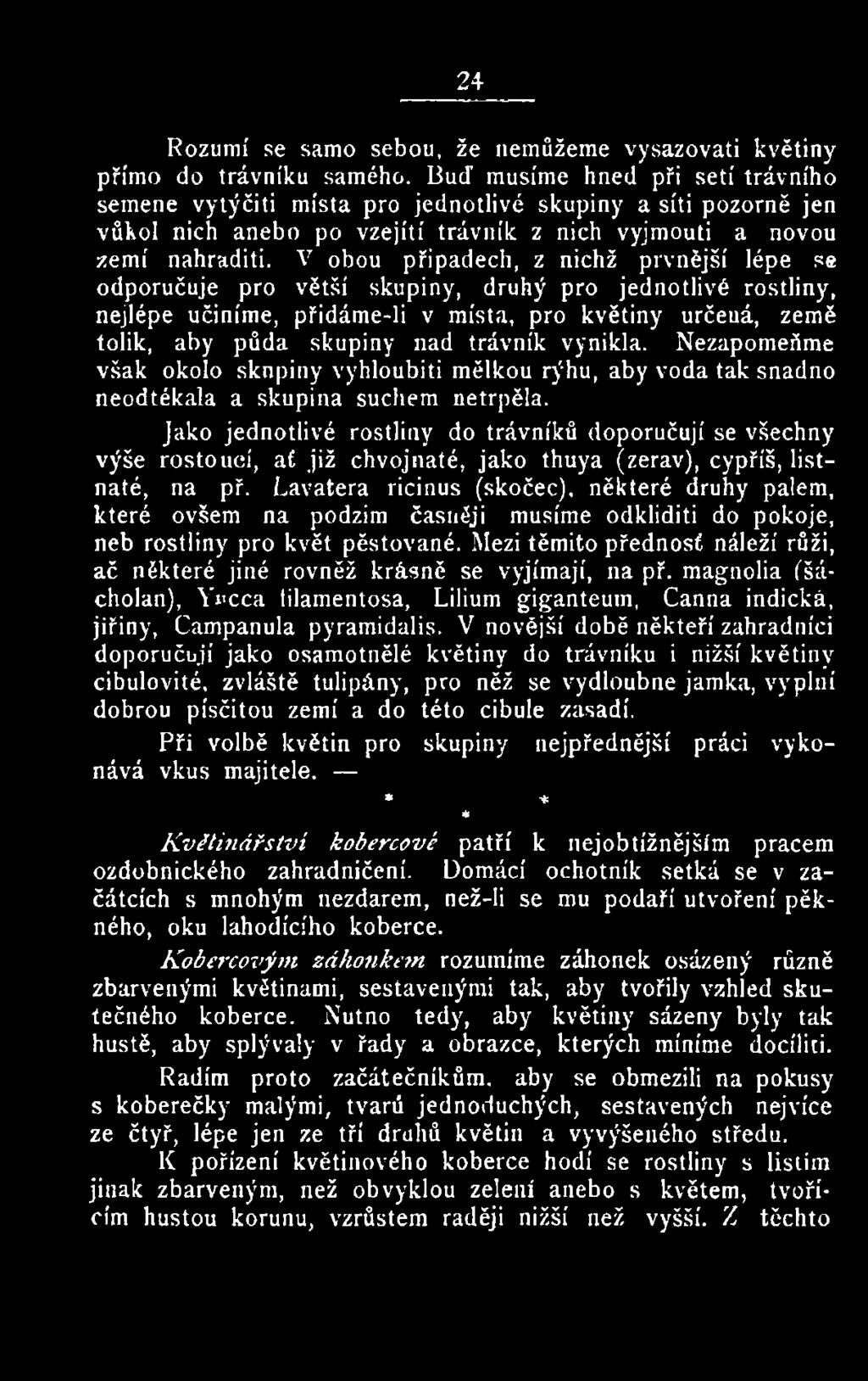 Jako jednotlivé rostliny do trávníků doporučují se všechny výše rostoucí, ať již chvojnaté, jako thuya (zerav), cypřiš, listnaté, na př.