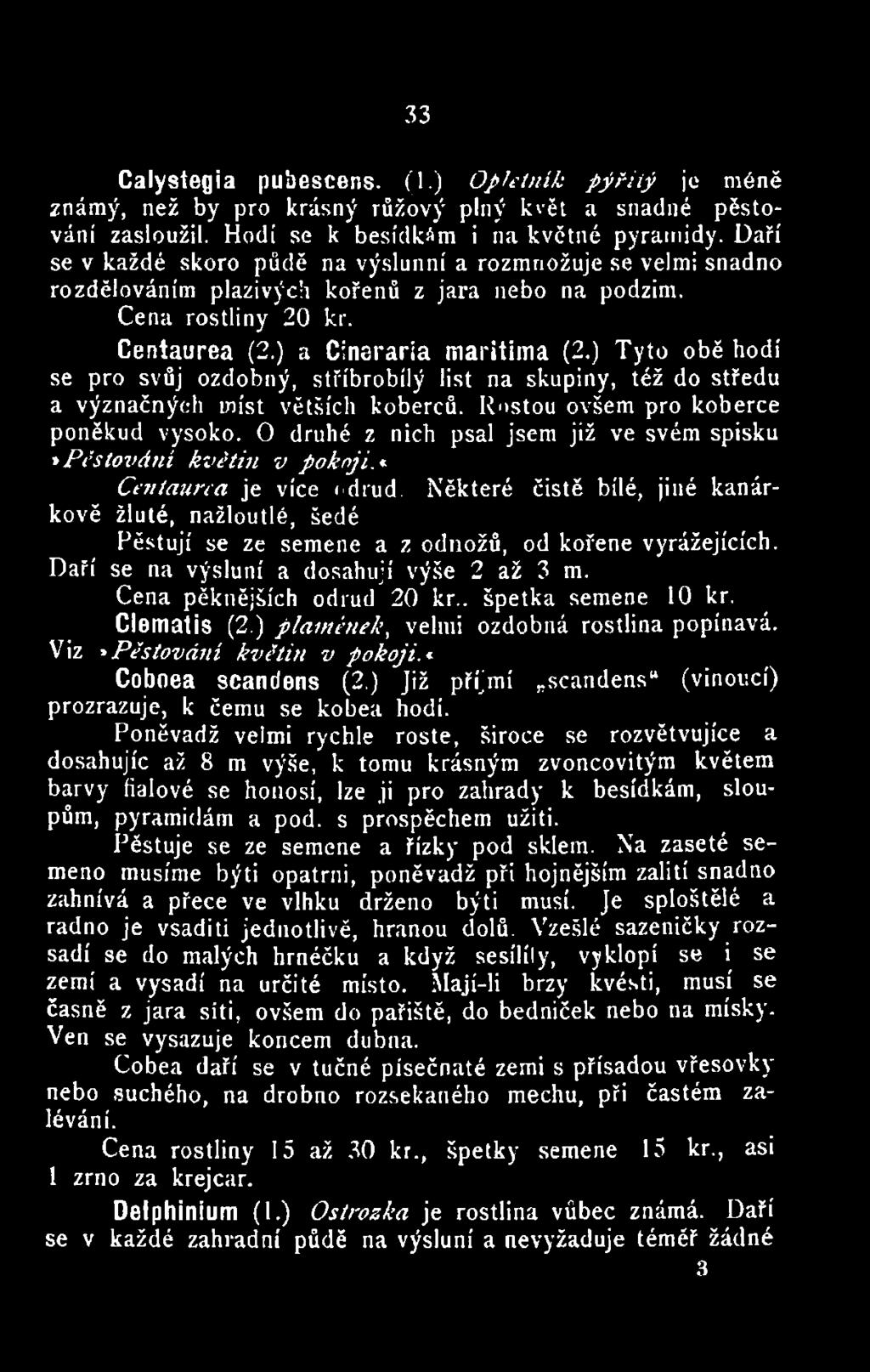Některé čistě bilé, jiné kanárkově žluté, nažloutlé, šedé Pěstují se ze semene a z odnožů, od kořene vyrážejících. Daří se na výsluní a dosahují výše 2 až 3 m. Cena pěknějších odrůd 20 kr.