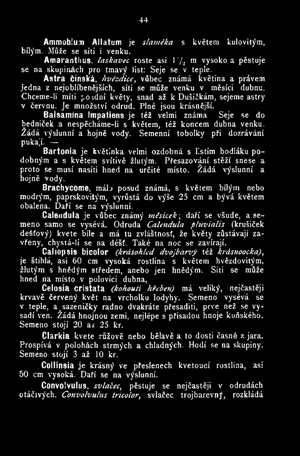 Žádá výslunní a hojně vody. Brachycome, máb posud známá, s květem bílým nebo modrým, paprskovitým, vyrůstá do výše 25 em a bývá květem obalena. Daří se na výslunní.