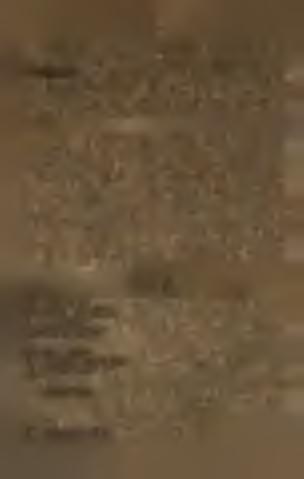 * * * Tímto skončili jsme pěstování květin, hodících se do našich domácích zahrad. Ovšem není možno vylíčiti všechny.