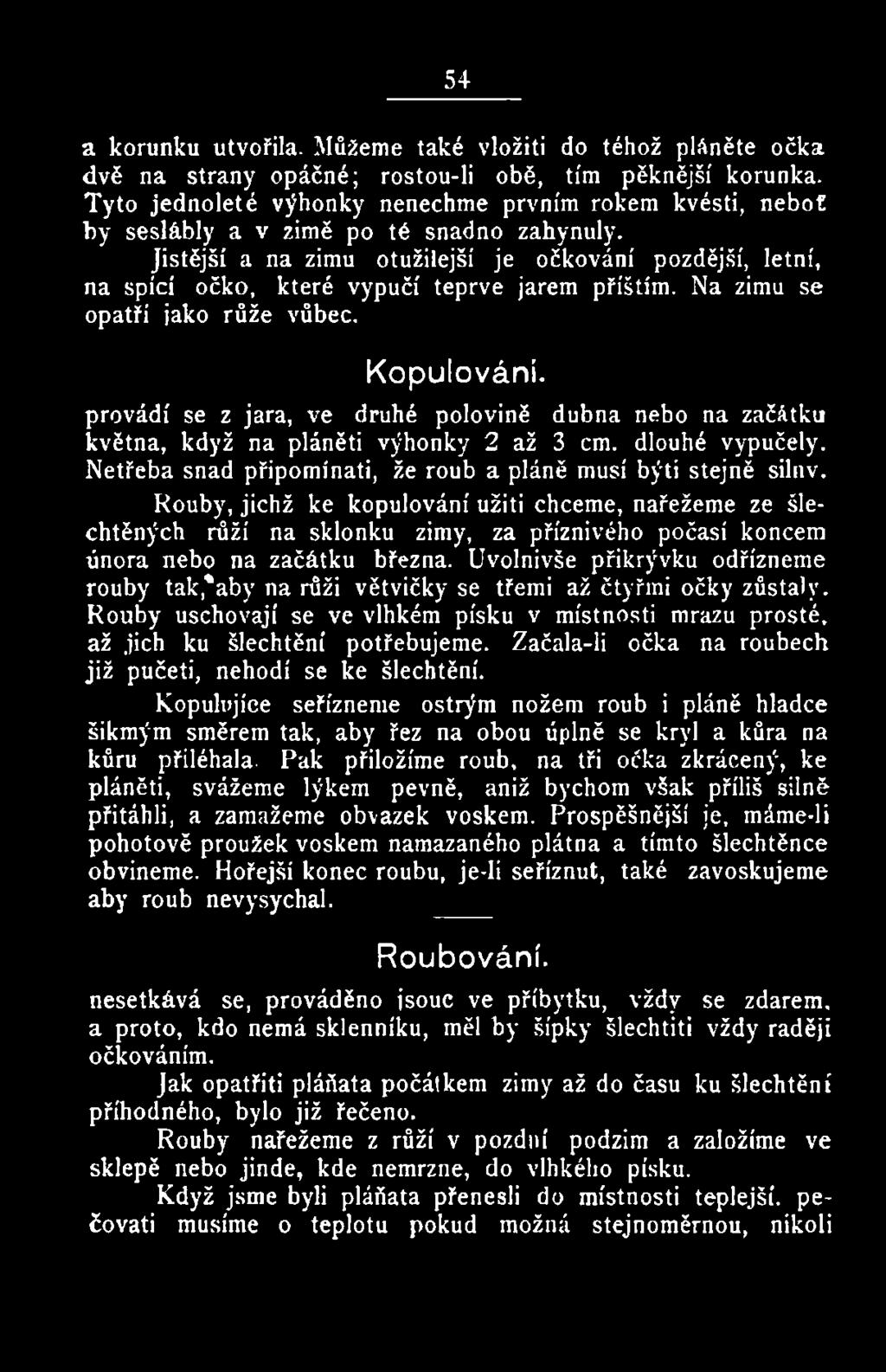 Rouby, jichž ke kopulování užiti chceme, nařežeme ze šlechtěných růží na sklonku zimy, za příznivého počasí koncem února nebo na začátku března.