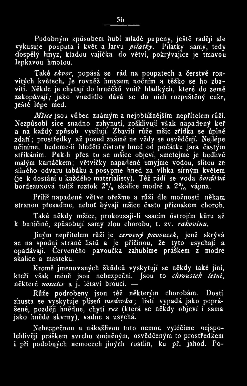Nejlépe učiníme, budeme-li hleděti čistoty hned od počátku jara častým stříkáním.