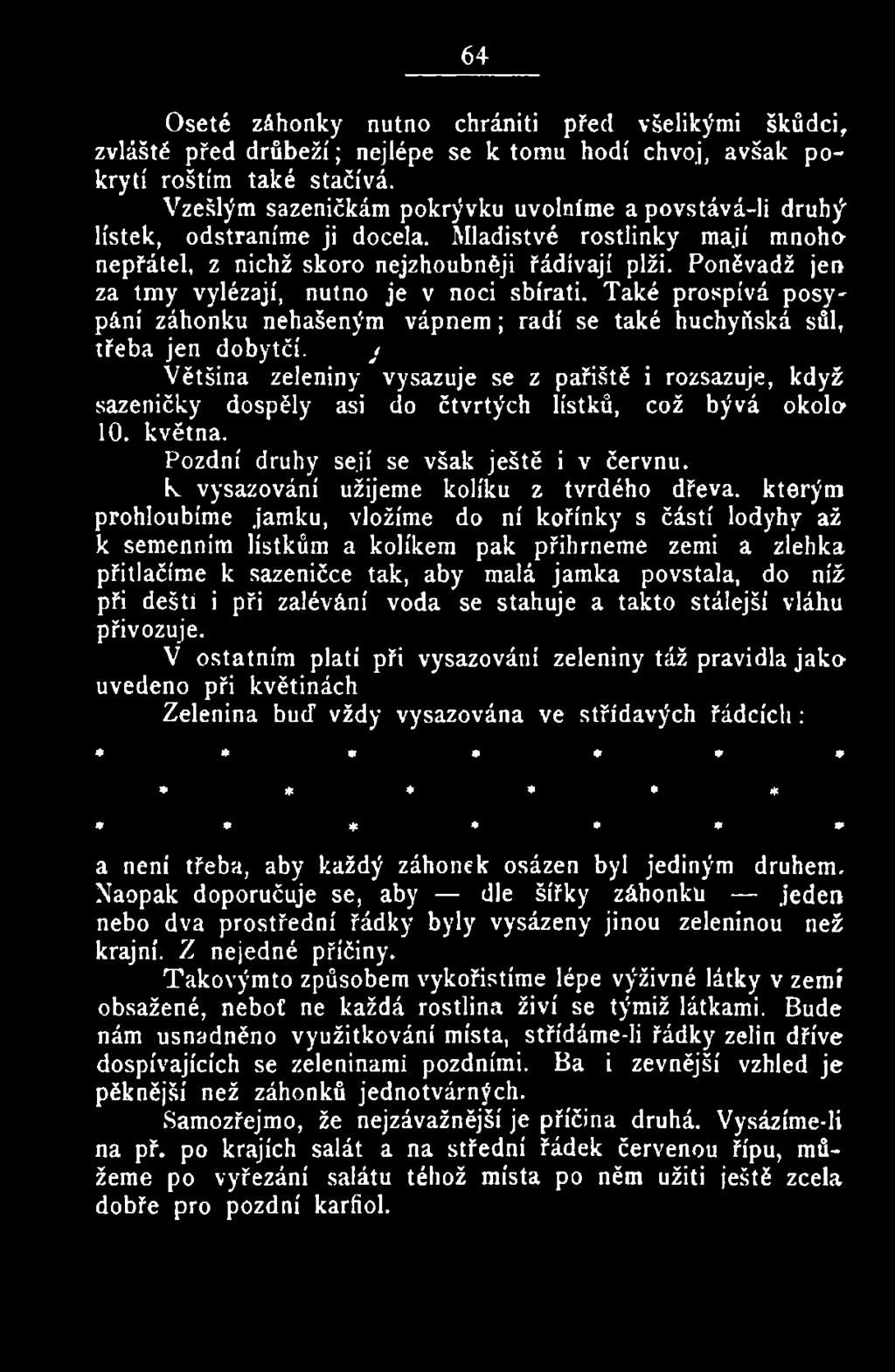 Iv vysazování užijeme kolíku z tvrdého dřeva, kterým prohloubíme jamku, vložíme do ní kořínky s částí lodyhy až k semenním lístkům a kolíkem pak přihrneme zemi a zlehka přitlačíme k sazeničce tak,