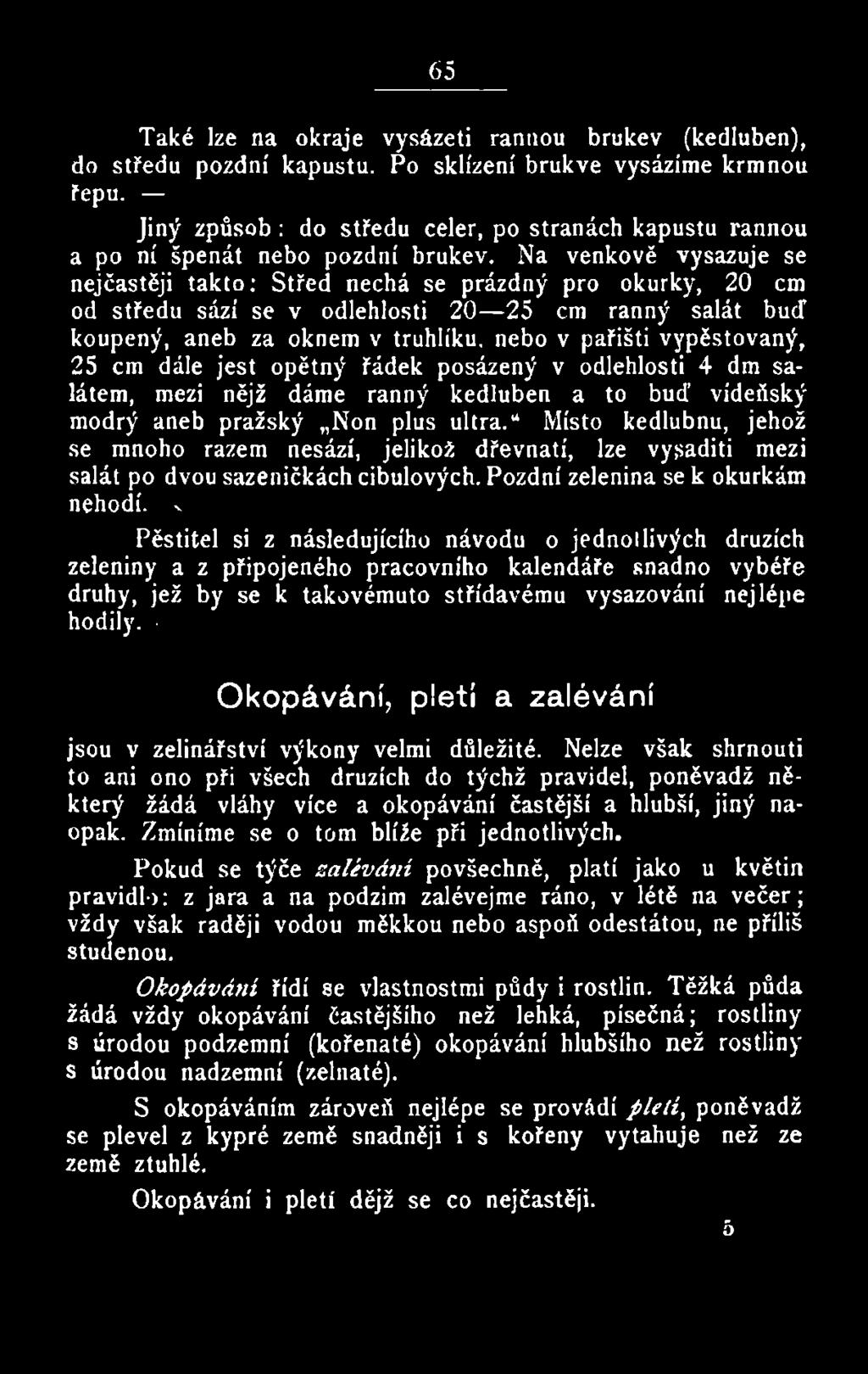 Místo kedlubnu, jehož se mnoho rázem nesází, jelikož dřevnatí, lze vygaditi mezi salát po dvou sazeničkách cibulových.