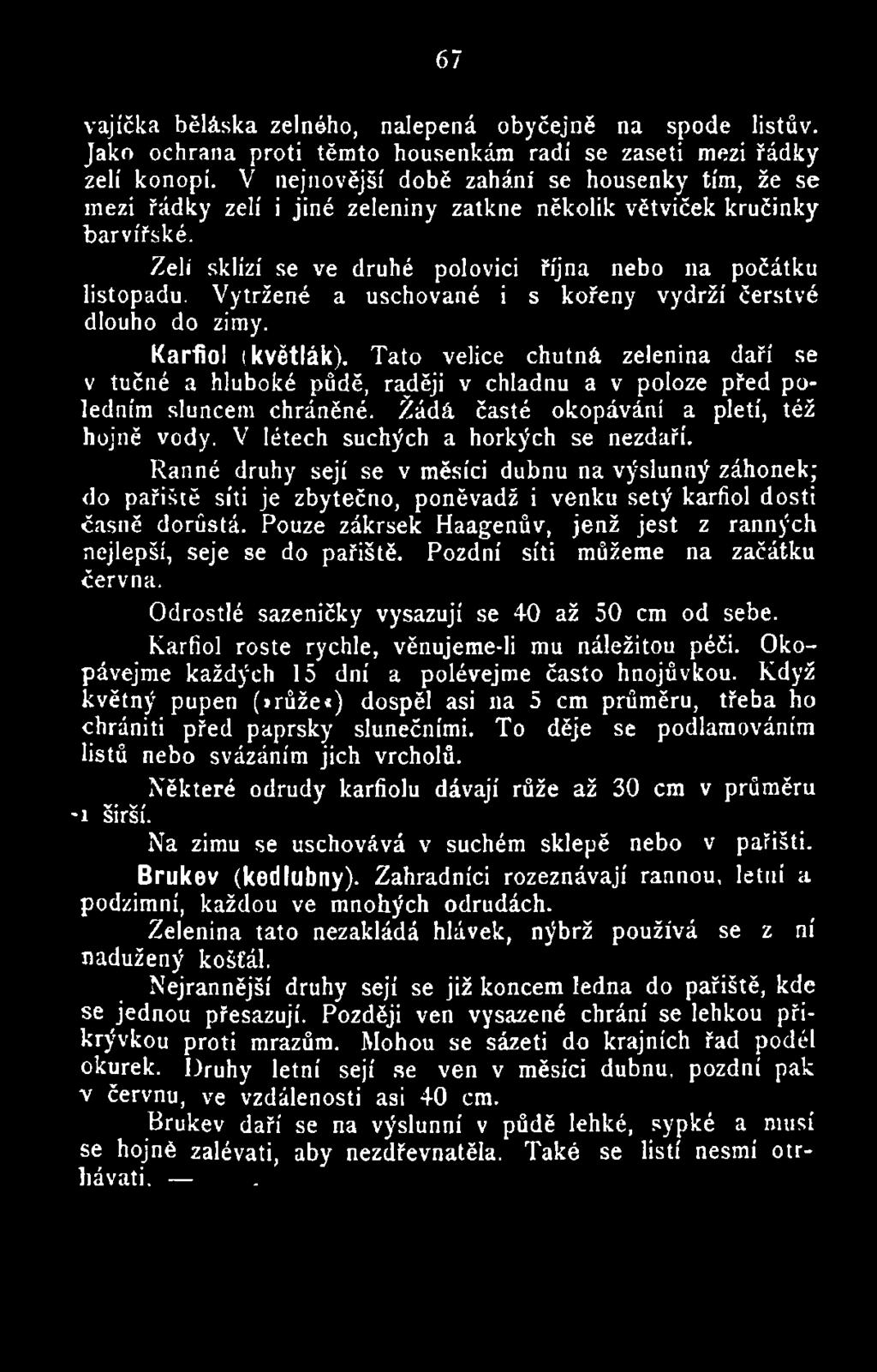 V létech suchých a horkých se nezdaří. Ranné druhy sejí se v měsíci dubnu na výslunný záhonek; do pařiště síti je zbytečno, poněvadž i venku setý karfiol dosti časně dorůstá.