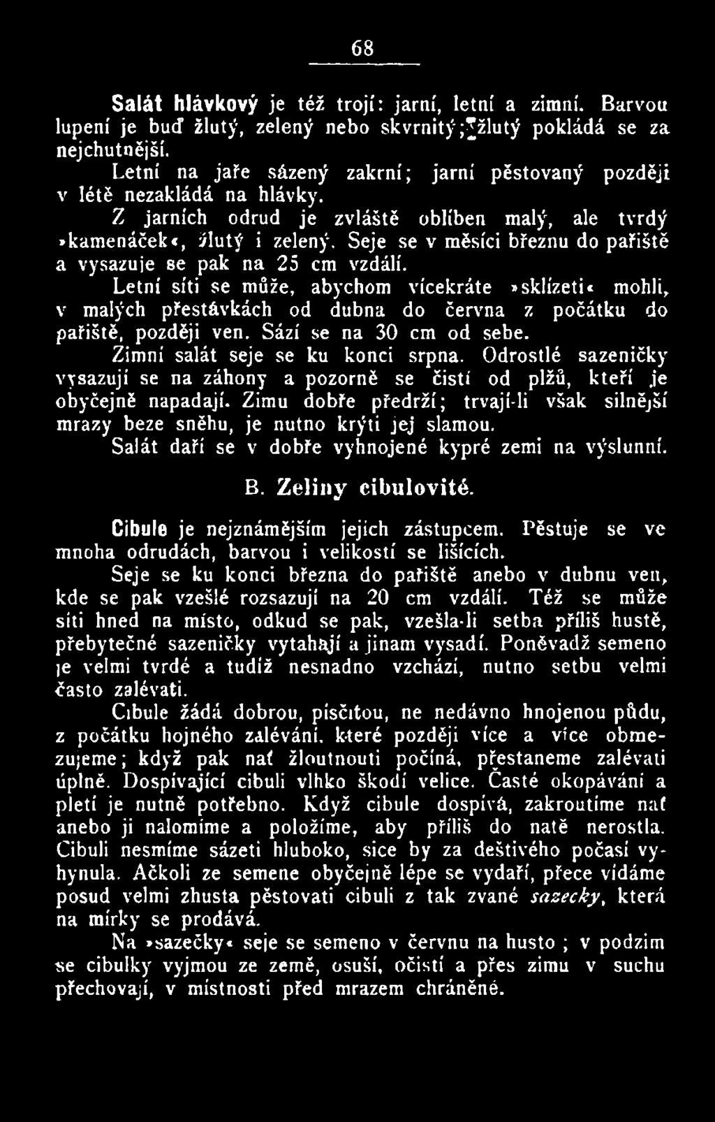 Zimu dobře předrží; trvají-li však silnější mrazy beze sněhu, je nutno krýti jej slamou. Salát daří se v dobře vyhnojené kypré zemi na výslunní. B. Zeliny cibulovité.