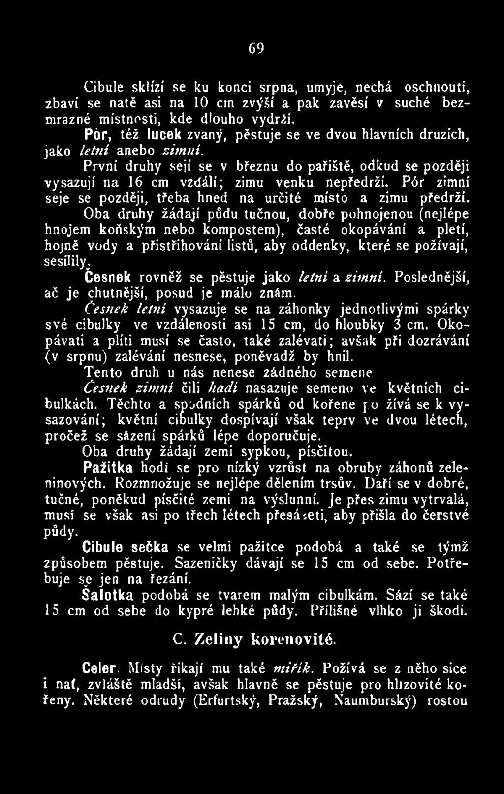 Česnek rovněž se pěstuje jako letní a zimní. Poslednější, ač je chutnější, posud je málo znám.