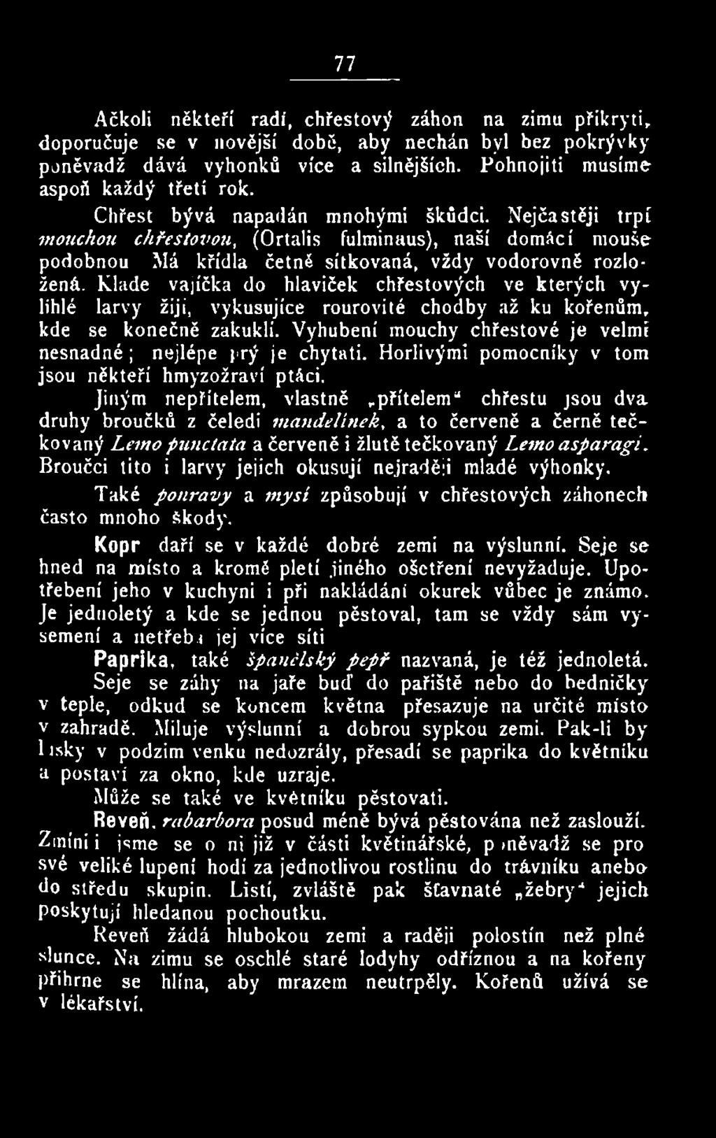 Jiným nepřítelem, vlastně přítelem chřestu jsou dva druhy broučků z čeledi maudelínek, a to červeně a černě tečkovaný Lemo punc ta ta a červeně i žlutě tečkovaný Lemo asparagi.