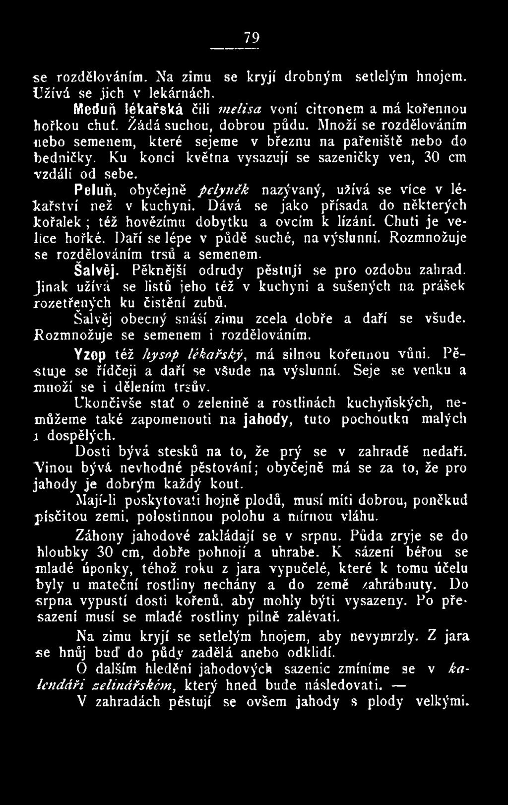 Jinak užívá se listů jeho též v kuchyni a sušených na prášek rozetřených ku čistění zubů. Šalvěj obecný snáší zimu zcela dobře a daří se všude. Rozmnožuje se semenem i rozdělováním.