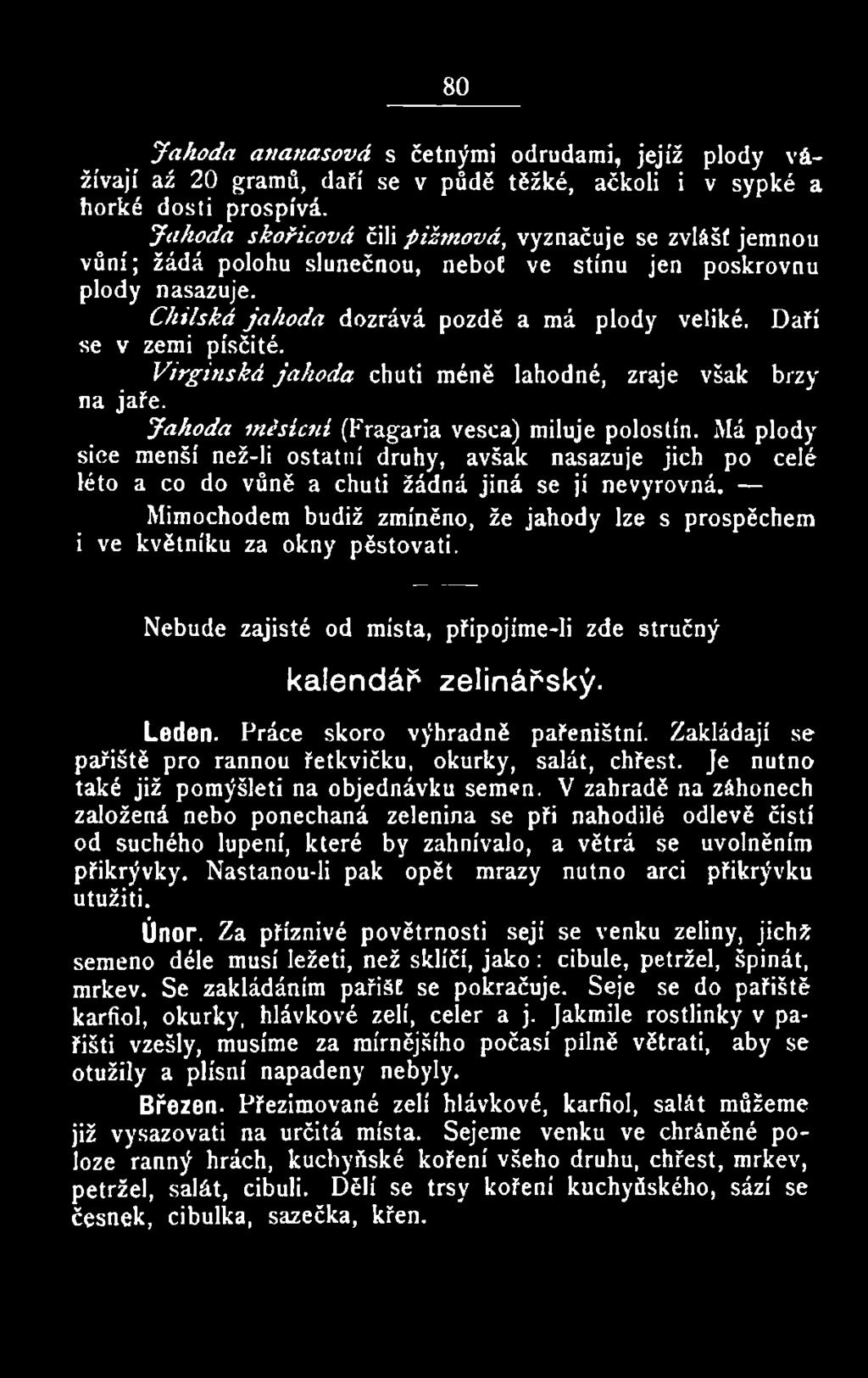 Mimochodem budiž zmíněno, že jahody lze s prospěchem i ve květníku za okny pěstovati. Nebude zajisté od místa, připojíme-li zde stručný kalendář zelinářský. Leden. Práce skoro výhradně pařeništní.