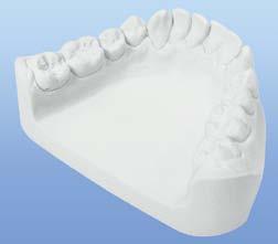 843,- Výrobce: SpofaDental MOLDANO Modelová sádra III.