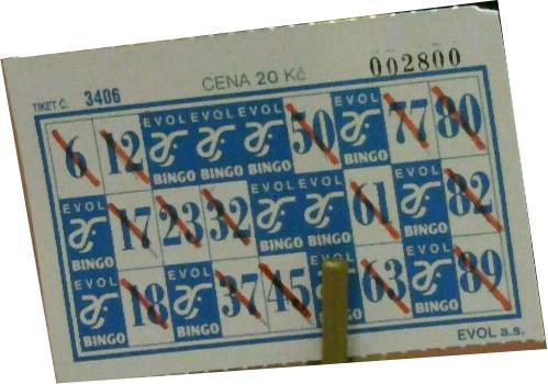 Sázkové hry provozované pomocí zvláštního druhu žetonů s kombinací patnácti čísel v číselné řadě od jedné do devadesáti povolené dle zákona o loteriích (ZoL) 2 písm.
