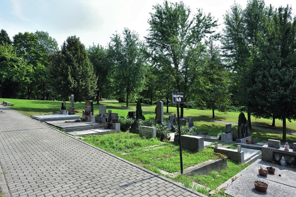 STAVU