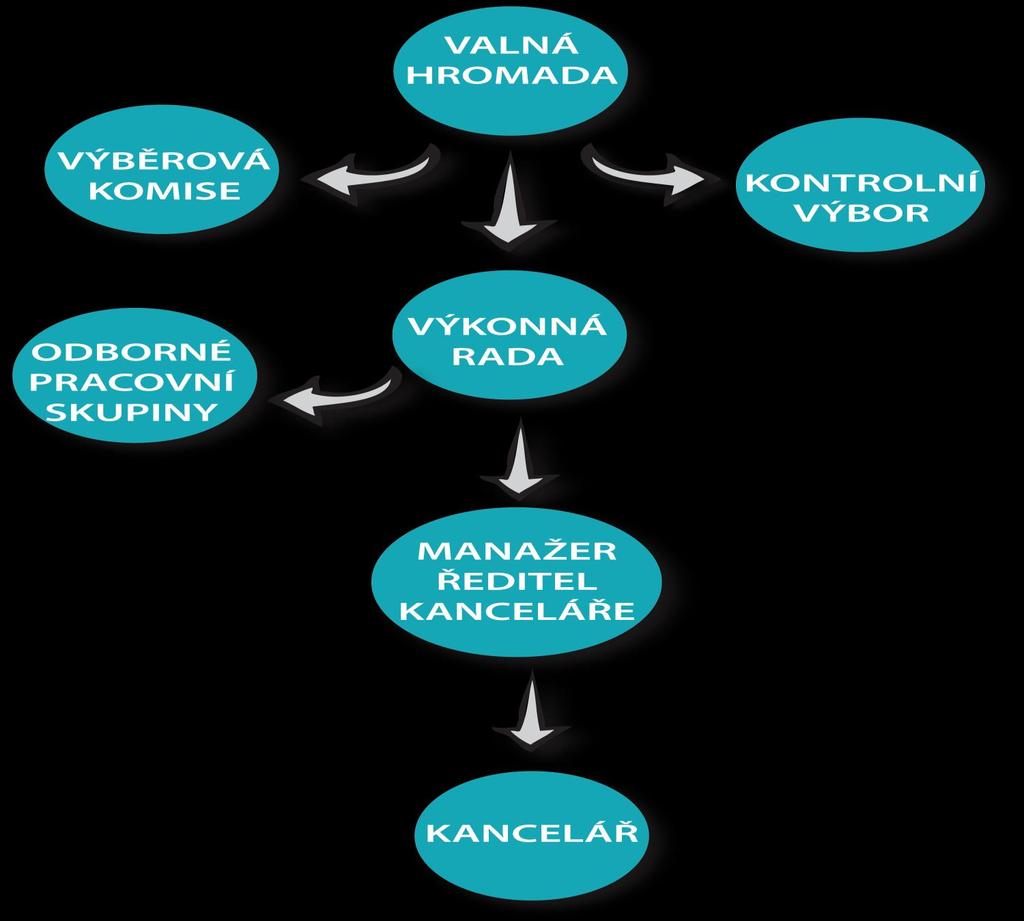 11 Organizační