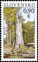 497) zobrazenie pralesa s prirodzeným hynutím stromov v rezervácii Stužica dolný okraj PL) logotyp Medzinárodného roka lesov 2011 497 (xxx) 0,90 viacfarebná... 497 PL (140x132 mm)... 497 FDC... 497 NL.