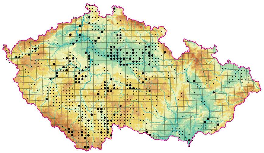Vegetace rákosin a vysokých ostřic (Phragmito-Magno-Caricetea) deseti letech bez plavby lodí dosáhlo společenstvo téměř stejné pokryvnosti jako v době před zavedením lodní dopravy, ačkoli bylo jejím