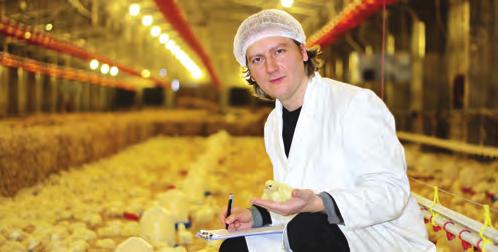 také složení střevní mikroflóry. Obsah lektinů lze snížit vařením nabobtnalých semen 15 20 minut při 100 C nebo hypotermickým ošetřením vysokou teplotou (134 C po 1,5 minuty).