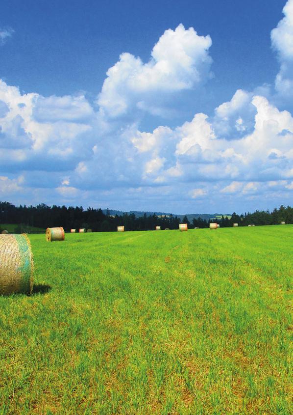 PŘÍKLAD Z PRAXE Profil podniku PROAGRO Radešínská Svratka, a.s. Řada výrobců se dnes ráda schovává za mnohastránkové brožurky plné technických parametrů.