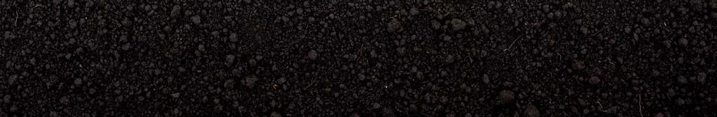 kořenů Podpora produktivních