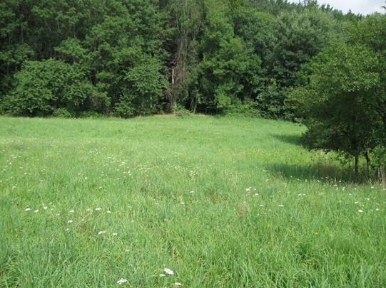 vybavenost pozemku úvaha zpracovatele ocenění - Cena [ Kč ] 95 000 Výměra [ m2 ] 6 514 Jednotková cena JC [ Kč/m2 ] 14,58 Koeficient KC 0,85 Upravená JC.