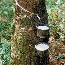 UTB ve Zlíně, Fakulta technologická 0 [10]. Nevýhodou je jejich relativně nízká tepelná odolnost a vysoká cena v porovnání se styren-butadienovými kaučuky [10].