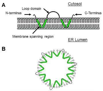 15(3):441 Journal of Integrative Plant