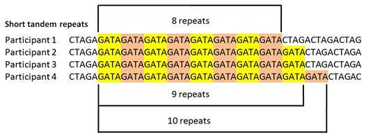 Co je tedy hlavní složkou genomu?