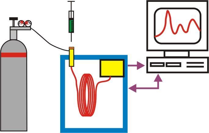 Schéma plynového chromatografu zdroj nosného plynu dávkovač detektor