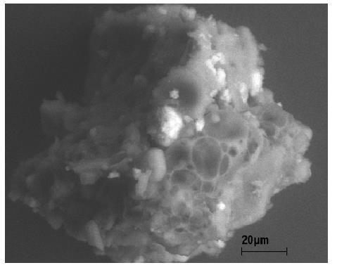 Elektronová mikroskoie - detektory Scanning Transmition Electron Mycroscopy (STEM) Detektor prošlých elektronů umožňuje zobrazování ve světlém i tmavém poli.