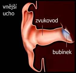 Biologie člověka -