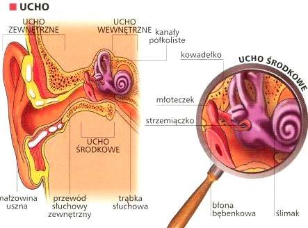 Střední a vnitřní ucho SOŠS a SOU